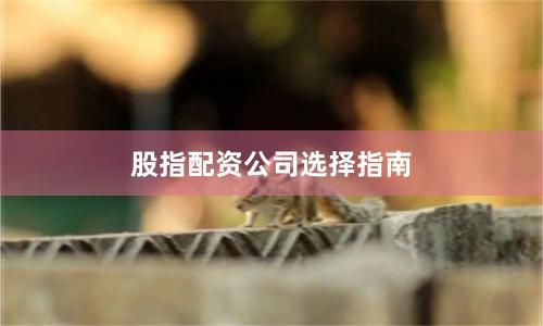 股指配资公司选择指南